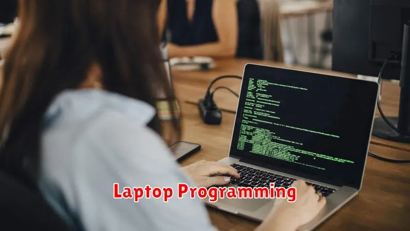Laptop Programming
