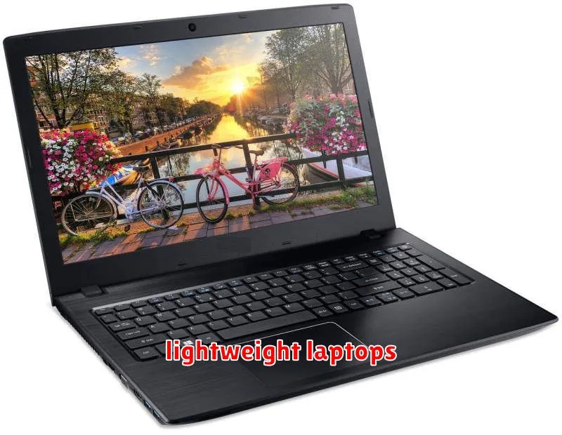 lightweight laptops